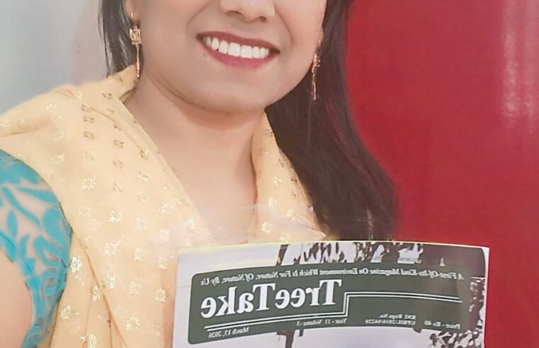 नवरात्रि और संस्कृति